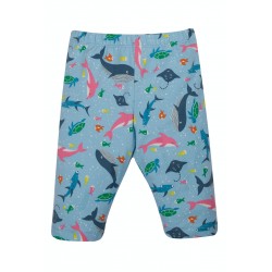 Frugi Laurie  Shorts Bengal...